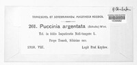 Puccinia argentata image